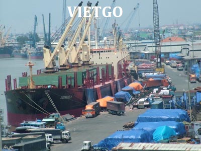 xuất khẩu tỏi việt nam